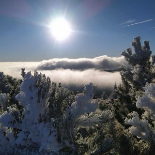 VRÁCENÍ JE U NÁS SNADNÉ . Taky nesnášíte, když chcete něco vrátit a musíte si hrát na detektiva, 🕵🏻 abyste přišli jak na...